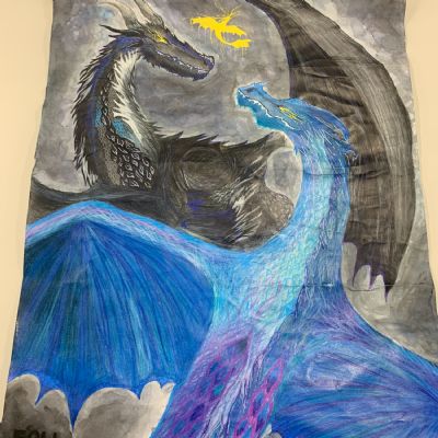 Year 9 & 10 Entry ~ Fourth Wing by Sophia Liakopoulou