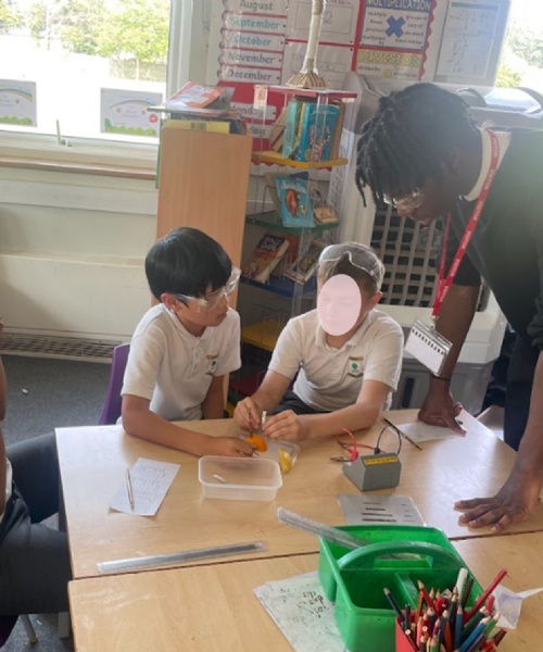 STEM Summer Update 2025